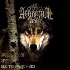 Nordward : Kogda V Tvoej Grudi B’ëtsja Serdce Volka...